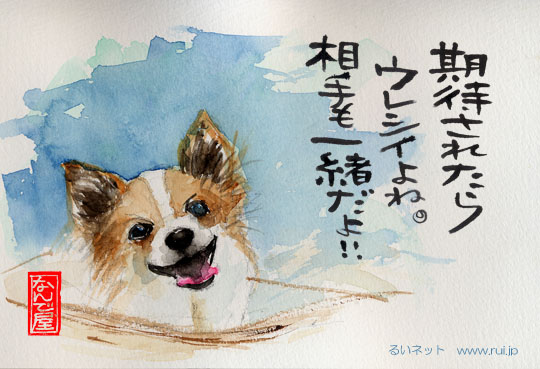 期待のできる交際クラブ